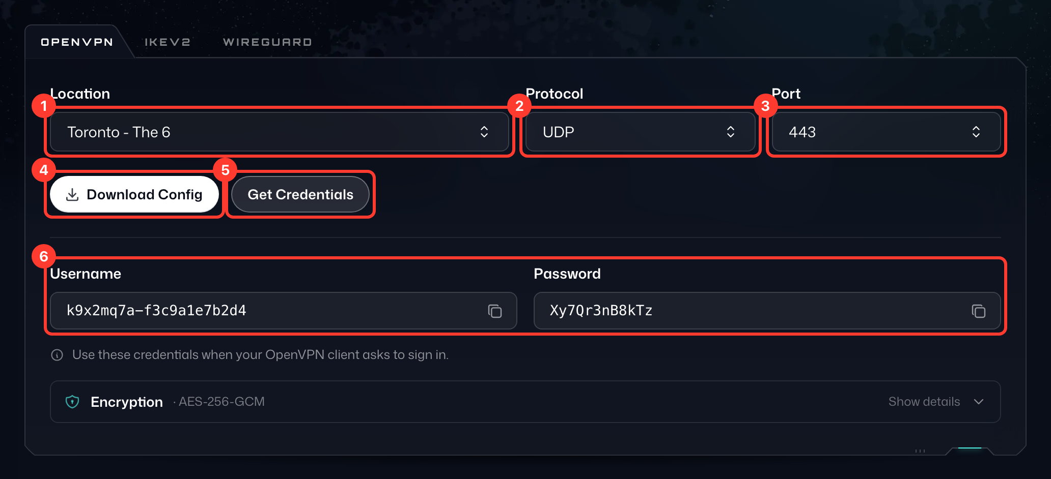 OpenVPN-Tab im Konfigurationsgenerator, mit hervorgehobenen Elementen Standort (1), Protokoll (2), Port (3), Konfiguration herunterladen (4), Zugangsdaten abrufen (5) und den Zugangsdaten (6)